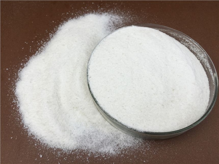 PAM���������W���|����